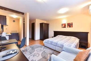 Maksimovi's studio 1 - Bansko - 2