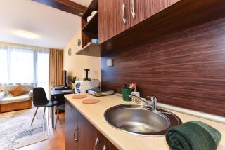 Maksimovi's studio 1 - Bansko - 1