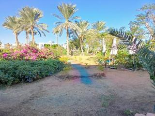 SS-3428 Aurora Resort wooden cottage - Sharm el Sheikh - 4
