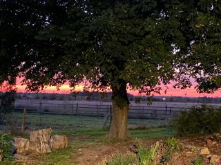 Cosy Cottage - Rural Location Near SkegnessCottage - Skegness - 5