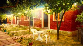 Wow Relish - Alwar - 1