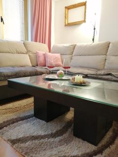 Sandra's apartment - Bitola - 6