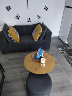 Bel appartement entier F1 à 5 mn de Mulhouse - - 3