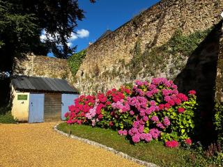 Demeure Jousset des Berries - Le Mans - 9