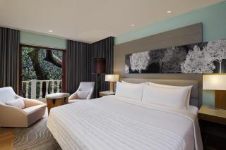 Le Meridien Mahabaleshwar Resort & Spa - Mahabaleshwar - 1