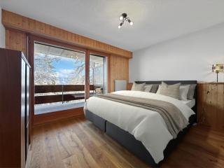 Alpine Condo ski in and out, 4 Valleys, Swiss Alps - Vex - 9
