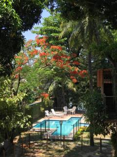 Island Refuge - 6 Suites, Swimming Pool & BBQ - Río de Janeiro - 0