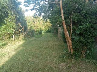 Cabaña Florencia - Curiñanco - 3