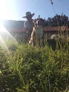 Casa de campo Namasté - 4