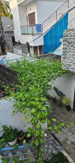 Garden Of Dreams Home stay - Cochin - 7
