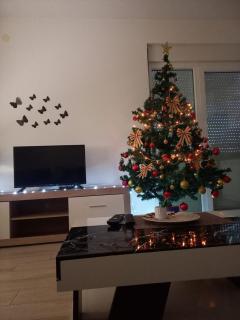 Apartman Nikolic - 9