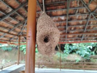 Shivalaya Homestay - Madikeri - 5