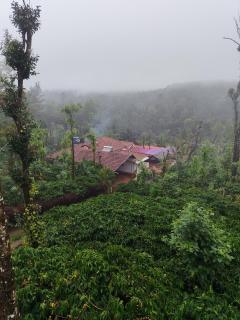 Shivalaya Homestay - 6