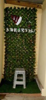 Kwesethu Guesthouse - 9