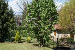 La Maison de Jeanne - 9