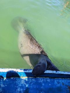 Pousada Caribe Milagrense II - 2