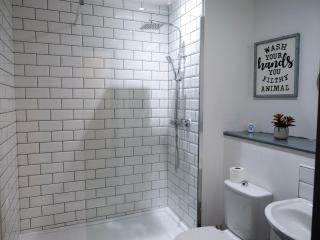 Spacious and Modern Studio Apartment Swansea City Centre - Swansea - 8