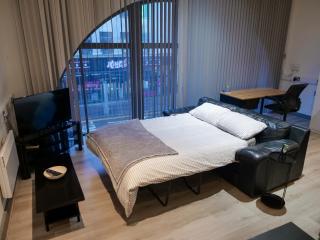 Spacious and Modern Studio Apartment Swansea City Centre - Swansea - 9