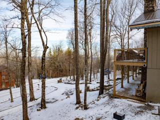 Beech Mountain Walk to Slopes Sleeps 9 Pet Friendly - Beech Mountain - 4