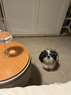 Masha dreamhome apart - Zadar - 7