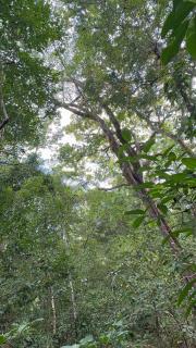Deer Houses Cabuya - Cabuya - 4