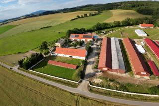 Agroturystyka Marianówek - - 9