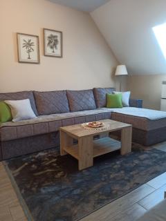 Apartman Maksimović Divčibare - Divčibare - 5