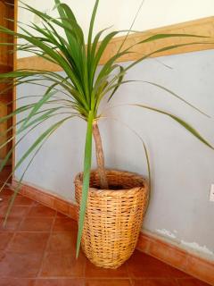 Bani House - Merzouga - 9