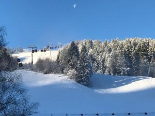 MountApart Ski in - Ski out - Sommercard zum halben Preis - Gültig von Juli bis September 2025 - Jochberg - 3