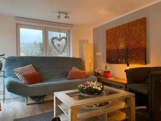 Great Apartment WILLINGEN THE PERFECT GETAWAY WINTERSPORT - Schwalefeld - 2