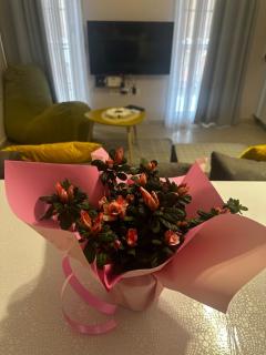 Il Nido-Entire apartment with balcony - 0