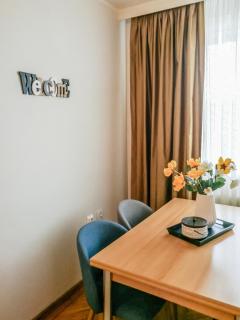 HELIOS - DeLuxe Residence, close to the city center, plus PARKING included - Timişoara - 9