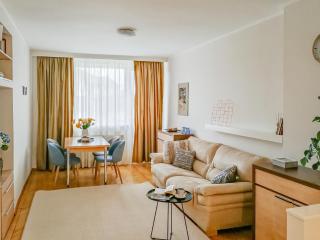 HELIOS - DeLuxe Residence, close to the city center, plus PARKING included - Timişoara - 2
