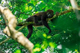 Quintaesencia Arte y Naturaleza - 6