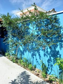 Casa Azul - Lugar de Ser Feliz - 8