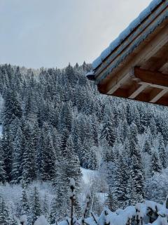 Winter Chalet Apartment - Gsteig - 4