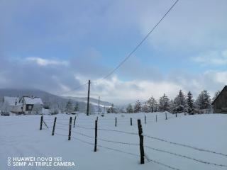 Vila Dajana Zminica - Žabljak - 6