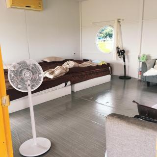 ชมนากฤษณา - 2