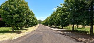 Cabaña San Miguel del Monte - 8