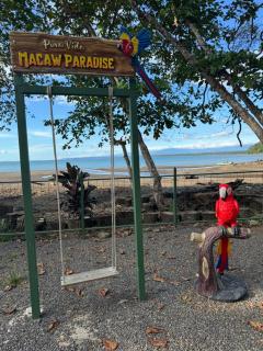 Macaw Paradise - 7