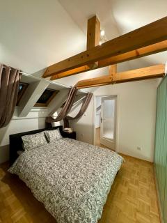Dalimilova Apartments - Praga - 4
