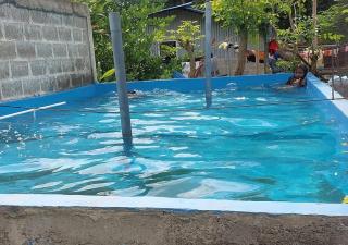 Waisei Villa - Dili - 2