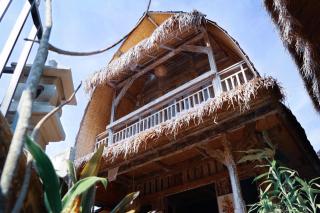 Royal JJ Ubud Resort & Spa - 1