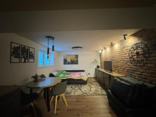 Apartament M1 w centrum Wiela - 6