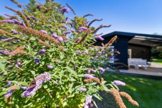 Cosy Classic Holiday Cottage With A Covered Terrace And Large Natural Plot Just A Few Minutes Walk From The Family-Friendly Ahl Beach - 3