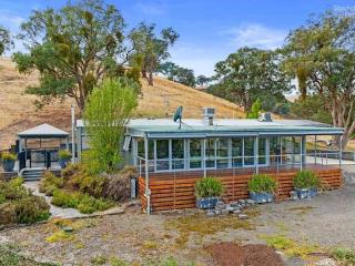 Golden Ash Grove Eco Farm - Yea - 0