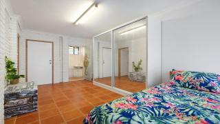 Seahorse On Fawcett - 5