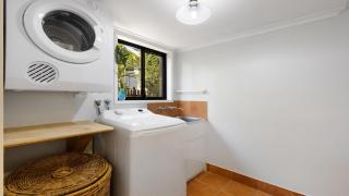 Seahorse On Fawcett - 3