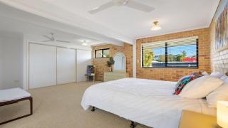 Seahorse On Fawcett - 1