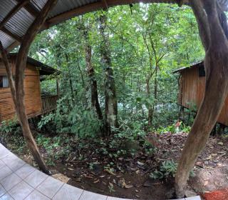 Rio Celeste Ecolodge - Rio Celeste - 8